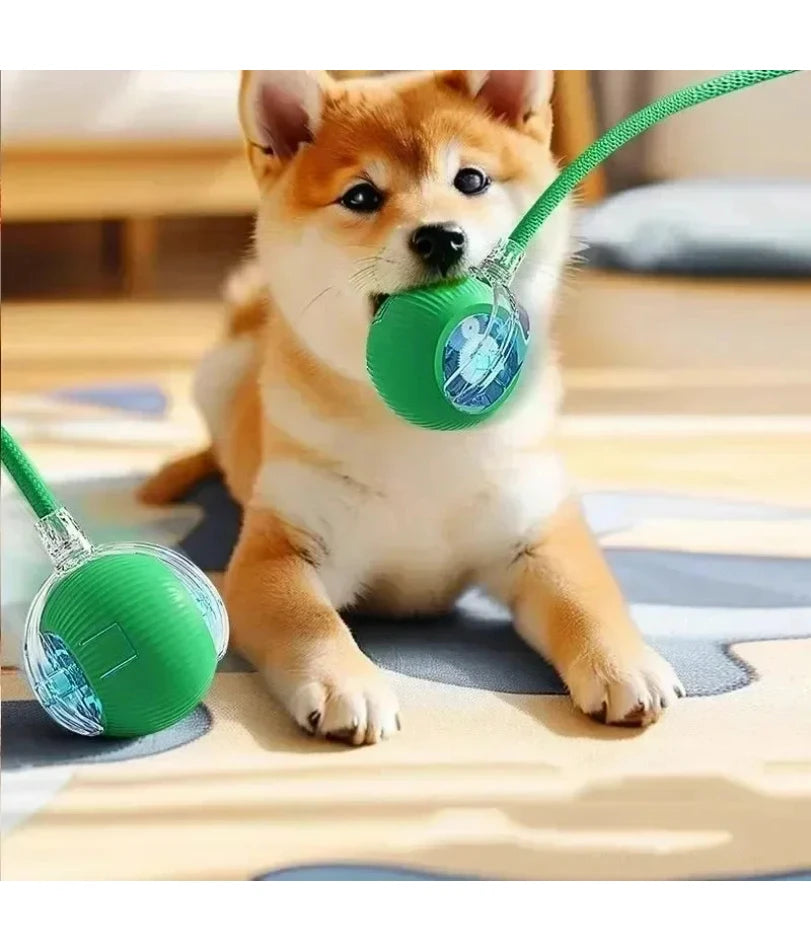 Cat Interactive Ball Toy, Automatic Rolling Ball with Tail, Rechargeable Smart Pet Interactive Toy, Intelligent Mouse for Cat