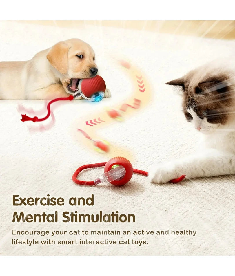 Cat Interactive Ball Toy, Automatic Rolling Ball with Tail, Rechargeable Smart Pet Interactive Toy, Intelligent Mouse for Cat