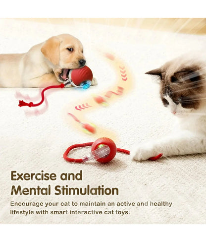 Cat Interactive Ball Toy, Automatic Rolling Ball with Tail, Rechargeable Smart Pet Interactive Toy, Intelligent Mouse for Cat